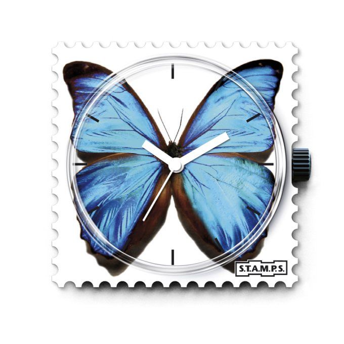 Blue  Butterfly 